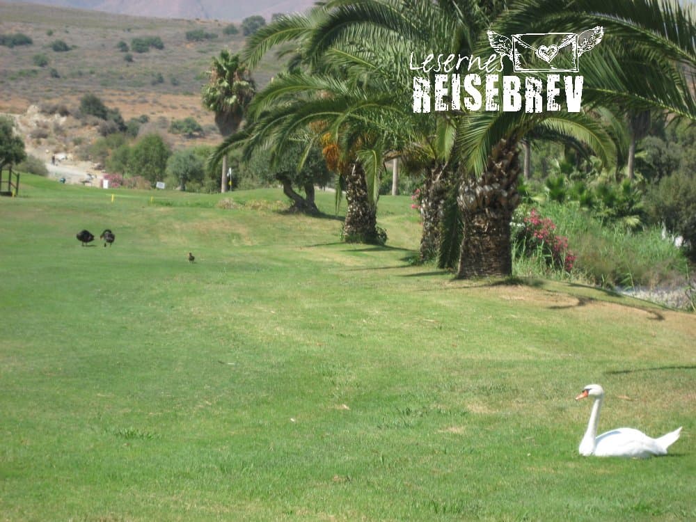 lesernes-reisebrev-estepona