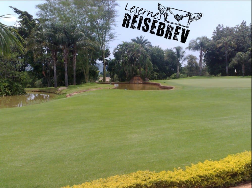 green-9-royal-swazi