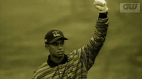 Tiger Woods enig i forbud