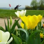 Golferen Golfclub Rheinhessen