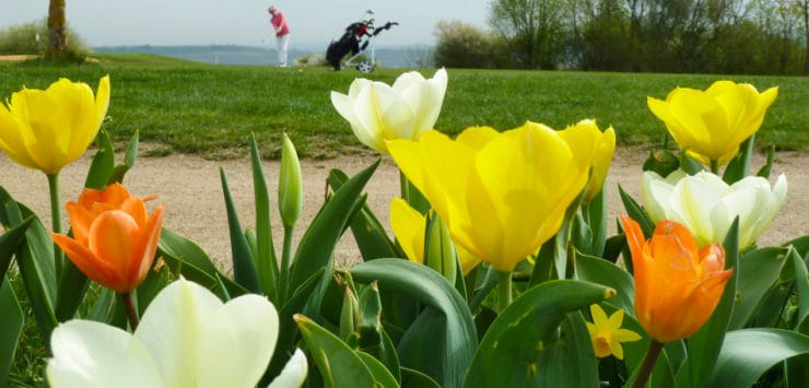 Golferen Golfclub Rheinhessen