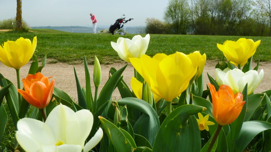 Golferen Golfclub Rheinhessen