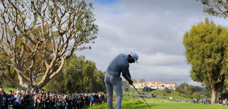 Dustin Johnson