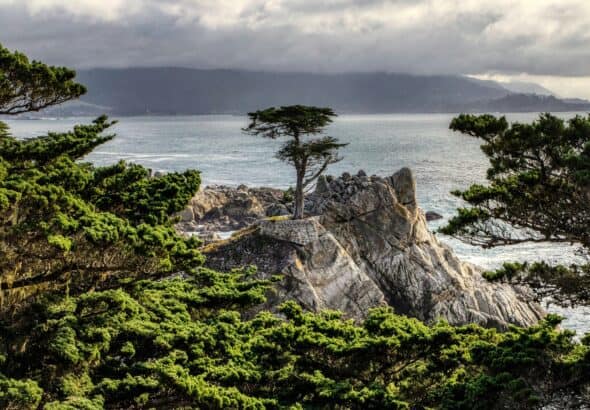 "Lone Cypress" på Pebble Beach". Foto av Mick Haupt/Unsplash