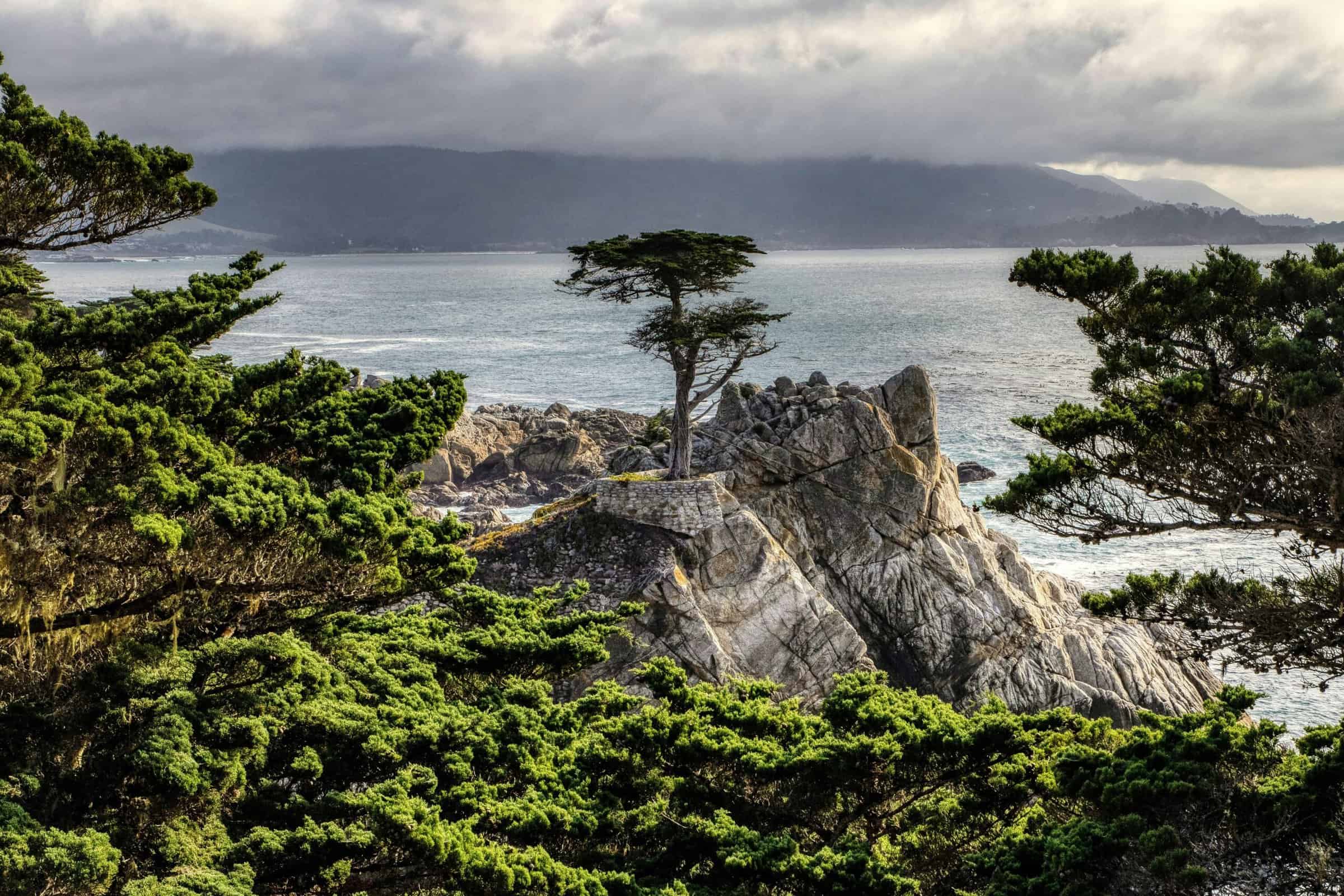 "Lone Cypress" på Pebble Beach". Foto av Mick Haupt/Unsplash